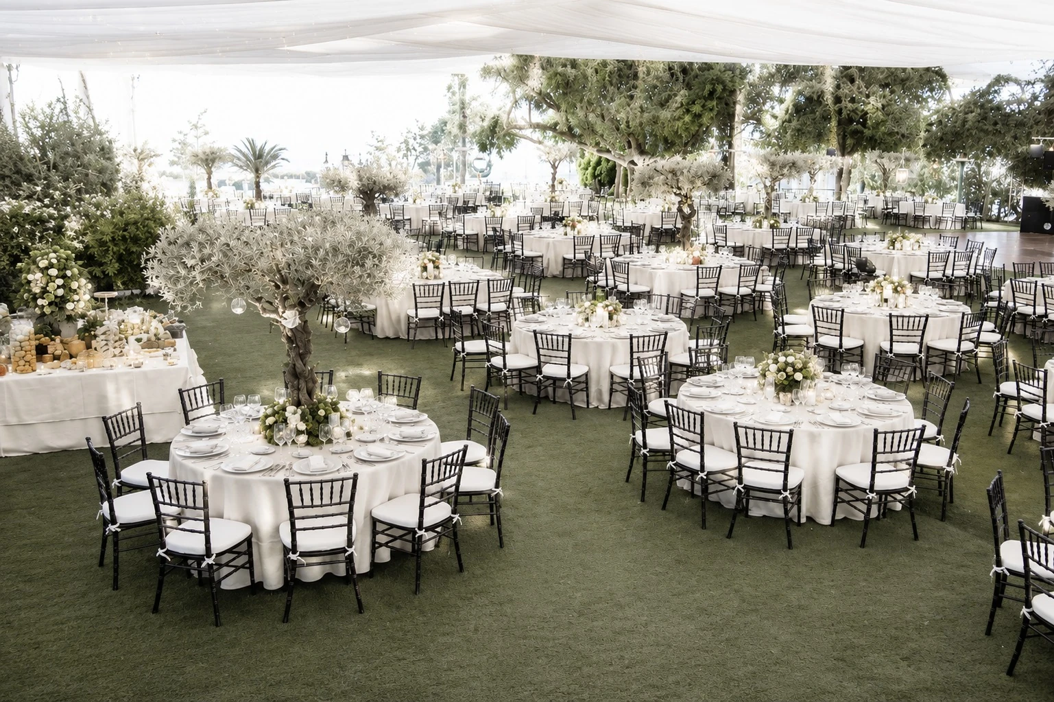 Banquete al aire libre con mesas redondas entre árboles